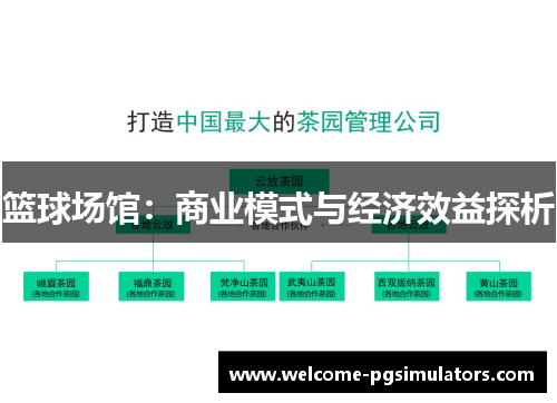 篮球场馆：商业模式与经济效益探析