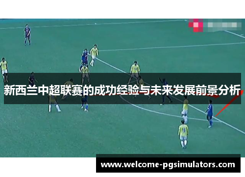 新西兰中超联赛的成功经验与未来发展前景分析