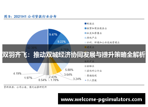 双羽齐飞：推动双城经济协同发展与提升策略全解析
