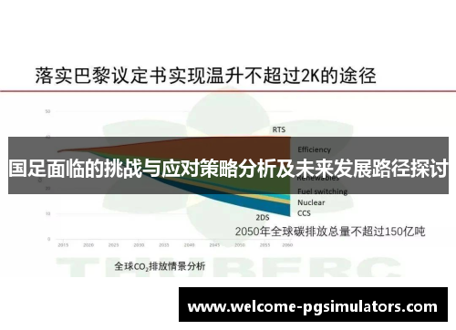 国足面临的挑战与应对策略分析及未来发展路径探讨