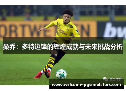 桑乔：多特边锋的辉煌成就与未来挑战分析
