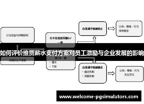 如何评价维贾薪水支付方案对员工激励与企业发展的影响