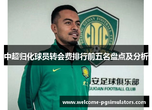 中超归化球员转会费排行前五名盘点及分析