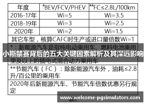 小斯禁赛背后的五大关键因素解析及其深远影响