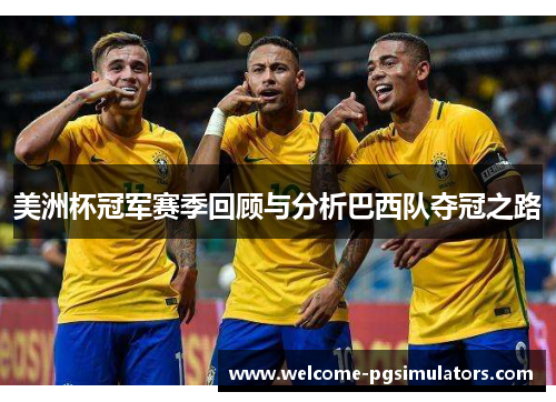 美洲杯冠军赛季回顾与分析巴西队夺冠之路