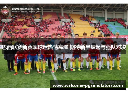 巴西联赛新赛季球迷热情高涨 期待新星崛起与强队对决 巴西联赛新赛季球迷热情高涨 期待新星崛起与强队对决