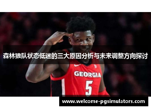 森林狼队状态低迷的三大原因分析与未来调整方向探讨