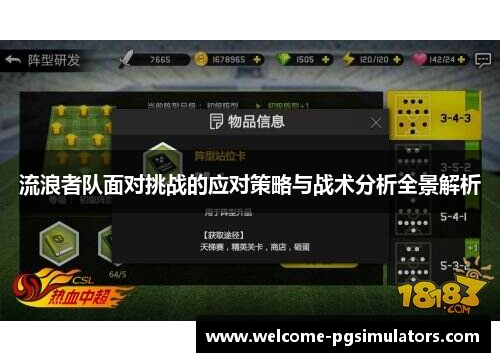 流浪者队面对挑战的应对策略与战术分析全景解析